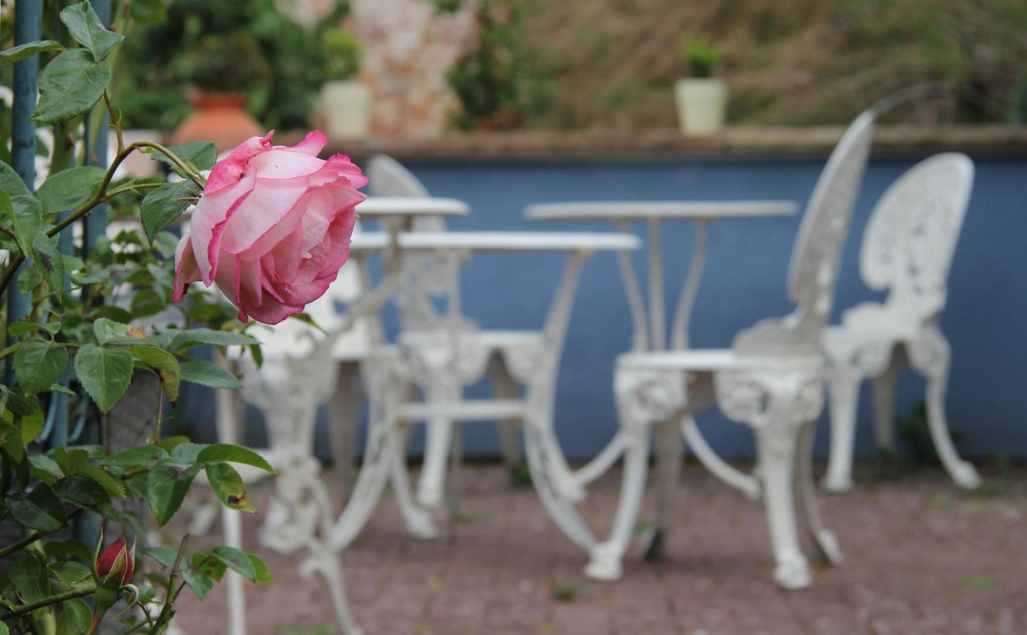 No.31 B&B Im Rosengarten Kapellen-Drusweiler エクステリア 写真