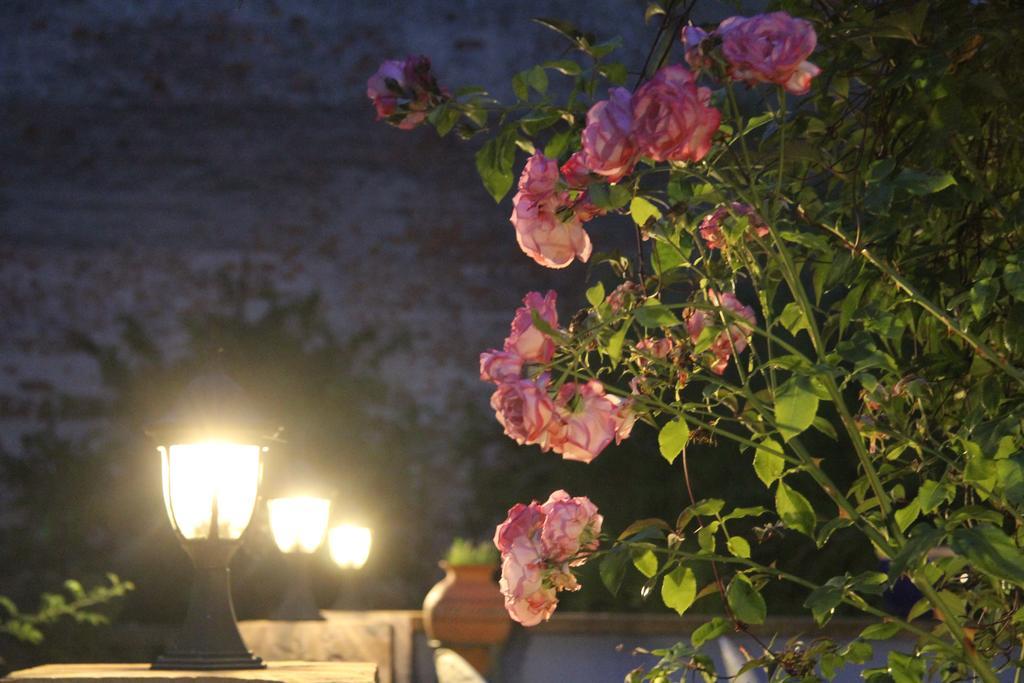 No.31 B&B Im Rosengarten Kapellen-Drusweiler エクステリア 写真