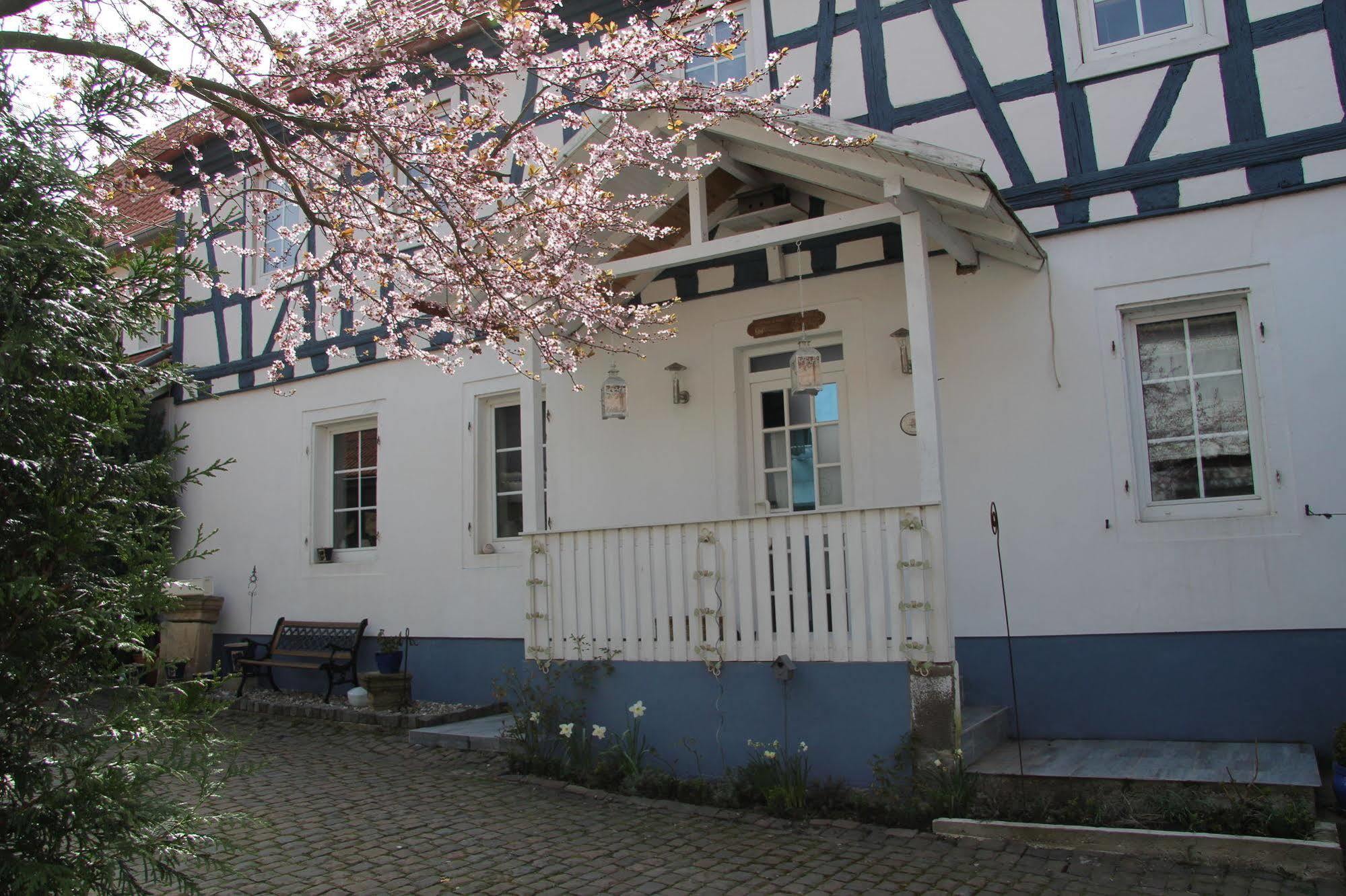 No.31 B&B Im Rosengarten Kapellen-Drusweiler エクステリア 写真