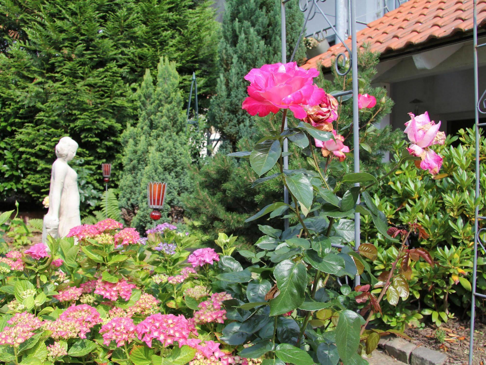 No.31 B&B Im Rosengarten Kapellen-Drusweiler エクステリア 写真